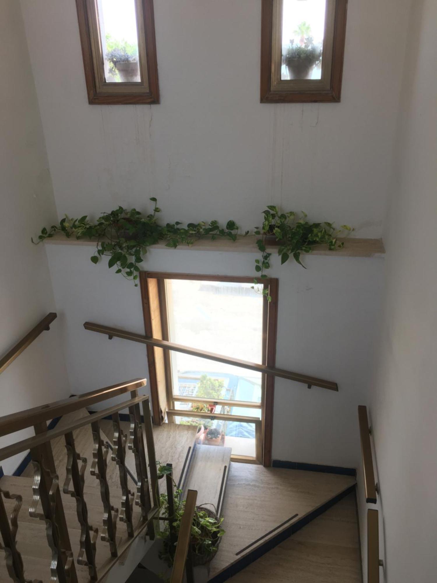 Delia Apartment Porto Cesareo Exterior photo